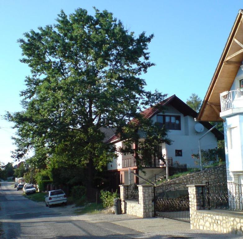 Budai Garden House Hévíz Oda fotoğraf